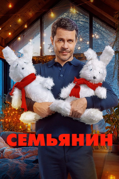 The Family Man (2025 film) poster