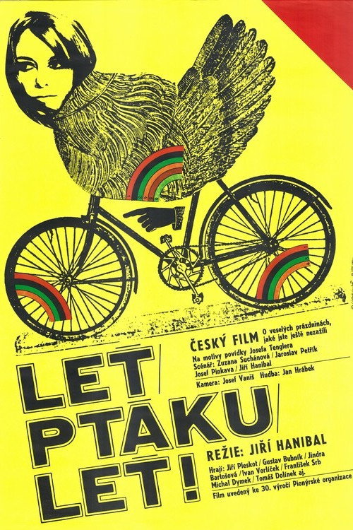 Fly, Bird, Fly! poster