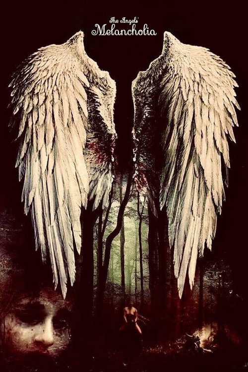 The Angel's Melancholy poster