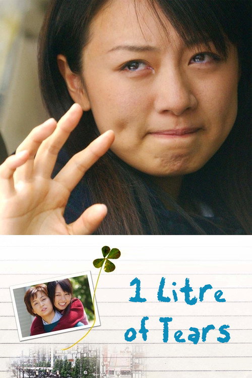 A Litre of Tears poster