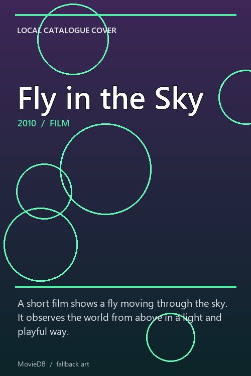Fly in the Sky poster