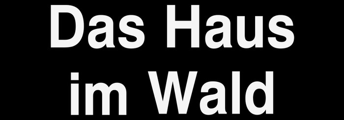 Tatort: Das Haus im Wald poster
