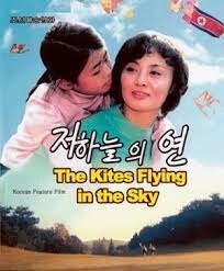 The Kites Flying in the Sky poster