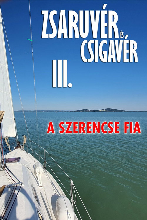 Zsaruvér és csigavér 3: A szerencse fia poster