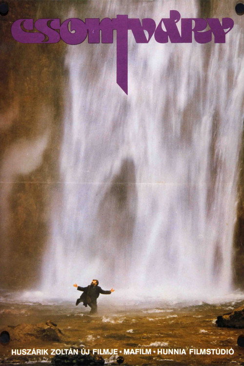 Csontváry poster