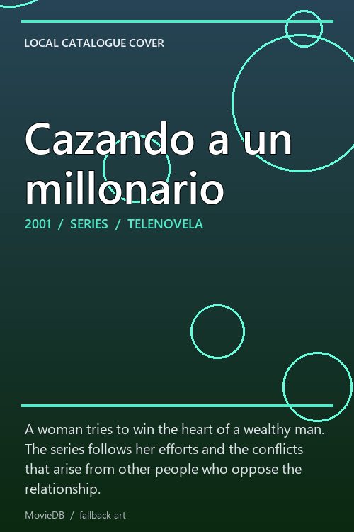 Cazando a un millonario poster