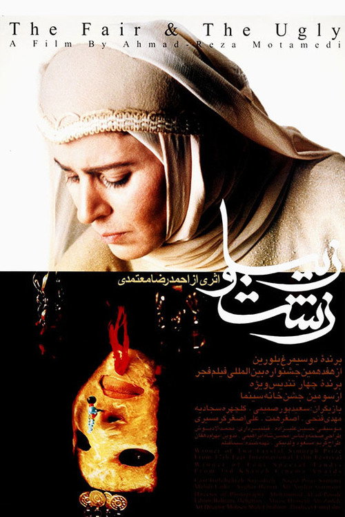 The Ugly And The Pretty poster