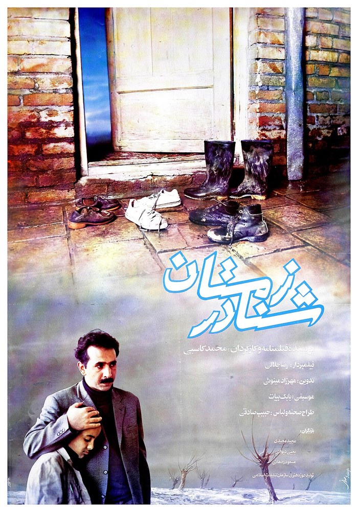 شنا در زمستان poster