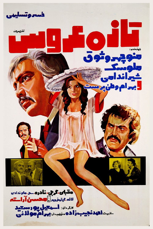 The Newly-Wed Bride poster