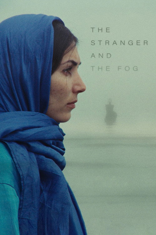 Stranger and the Fog poster