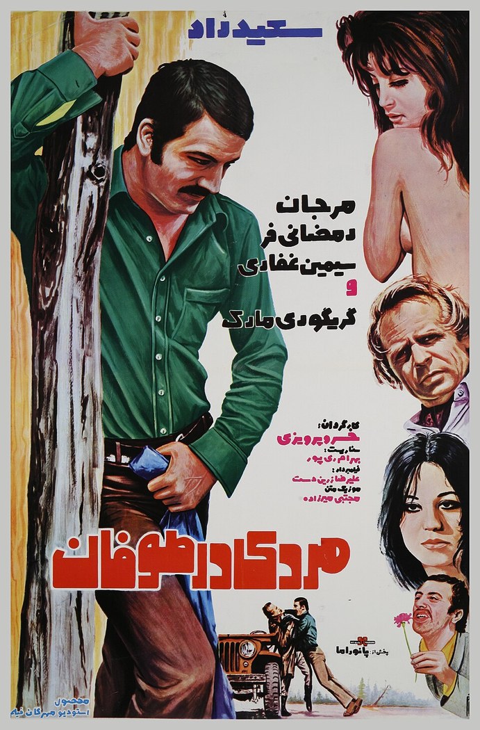 مردی در طوفان poster