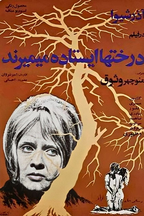 Trees Die Standing poster