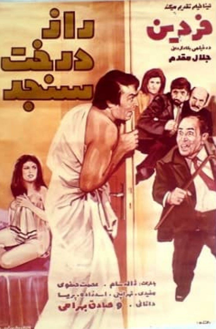 راز درخت سنجد poster