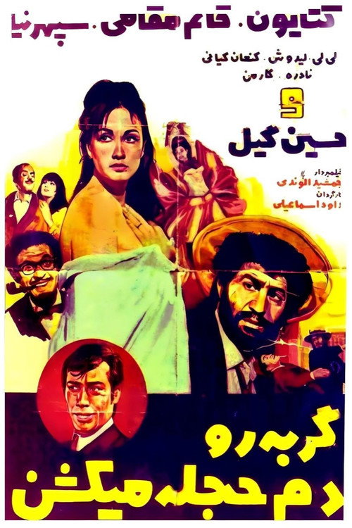 Gorbeh ro dameh hejleh mikoshan poster