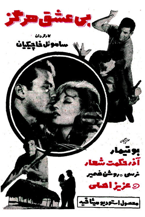 Never Without Love poster