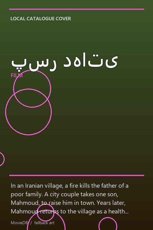 پسر دهاتی poster