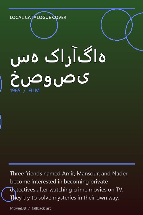 سه کارآگاه خصوصی poster