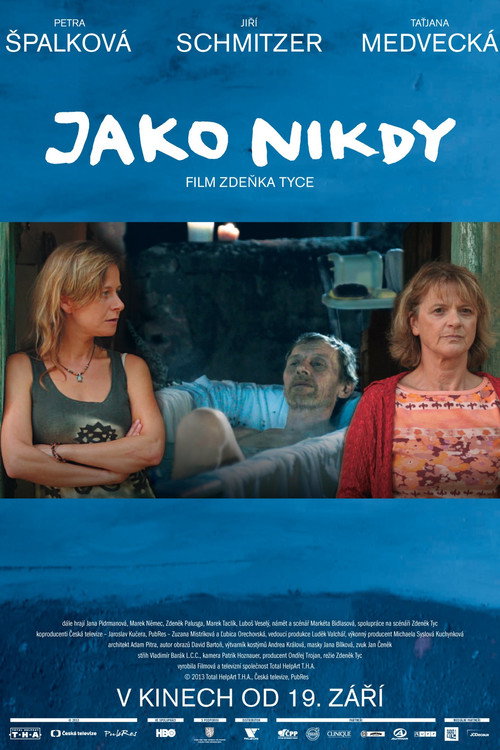 Like Never Before poster