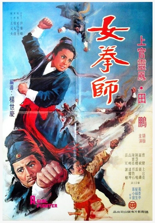A Girl Fighter poster