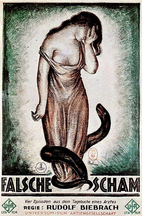 False Shame poster