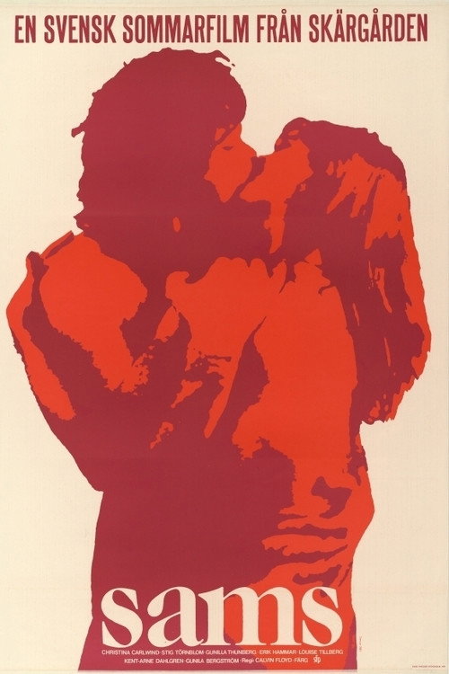 They Like Sex poster