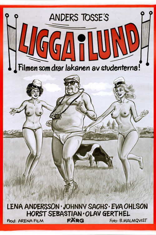 Lay in Lund poster