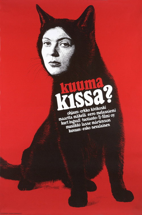 Hot Cat? poster