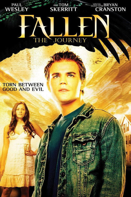 Fallen: The Journey poster