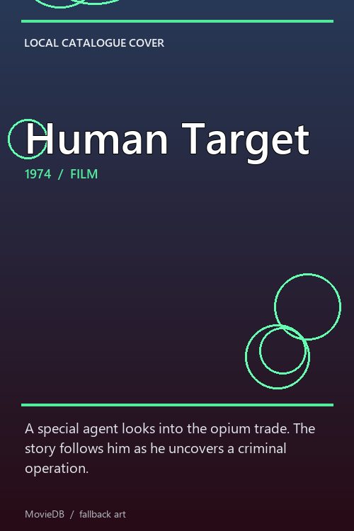 Human Target poster