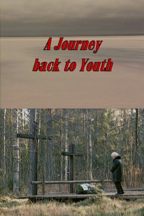 Journey Back to Youth poster