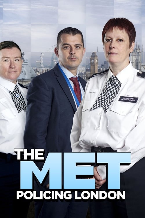 The Met poster