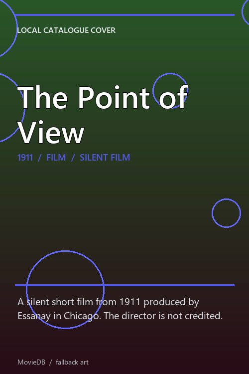 The Point of View poster