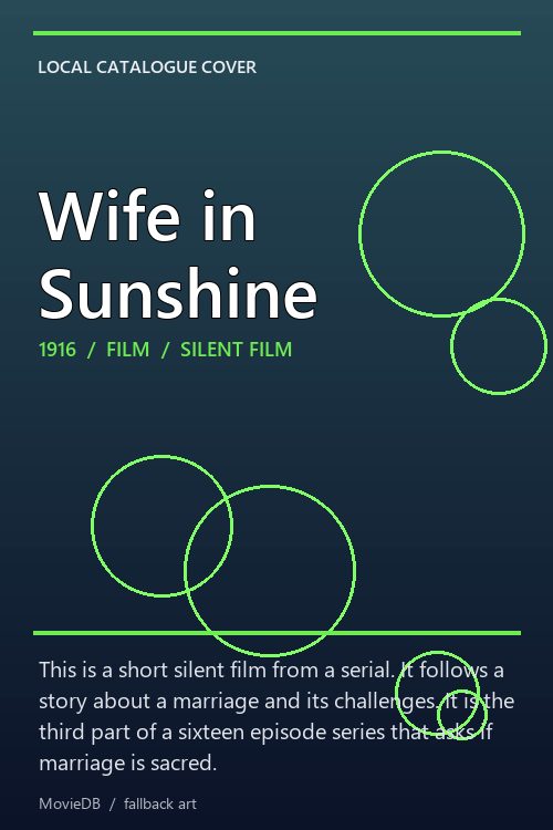 Wife in Sunshine poster