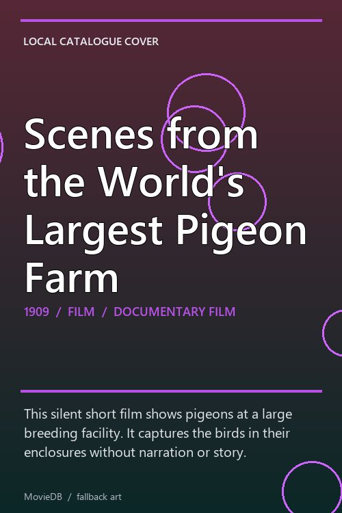 Scenes from the World's Largest Pigeon Farm poster