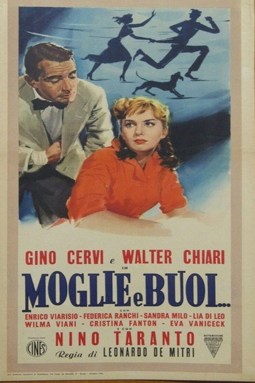 Wives and Obscurities poster