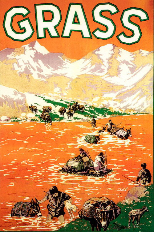 Grass poster