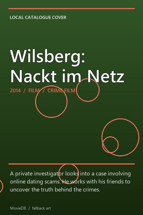 Wilsberg: Nackt im Netz poster