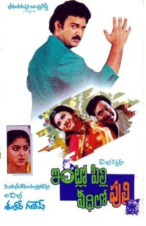 ఇంట్లో పిల్లి వీధిలో పులి poster