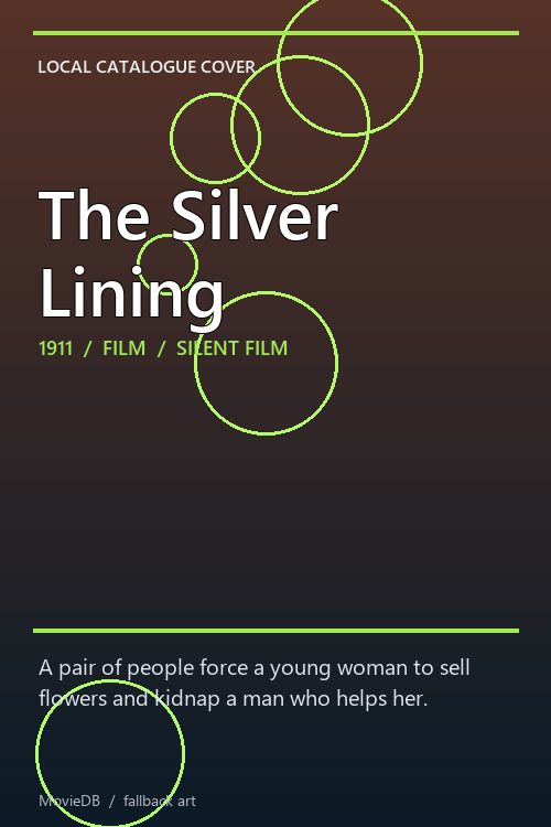 The Silver Lining poster