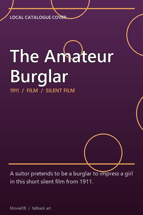 The Amateur Burglar poster