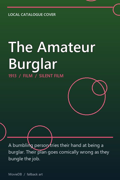 The Amateur Burglar poster