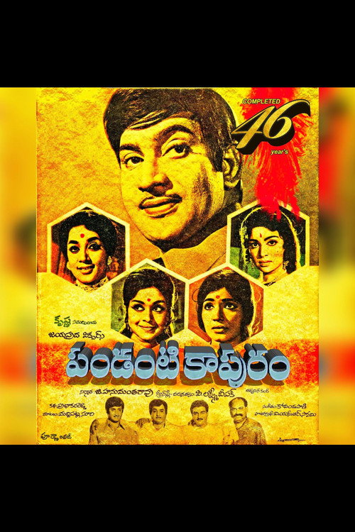 Pandanti Kapuram poster