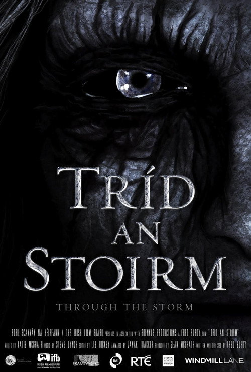 Tríd an Stoirm poster