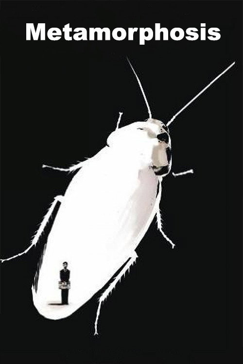 Die Verwandlung poster