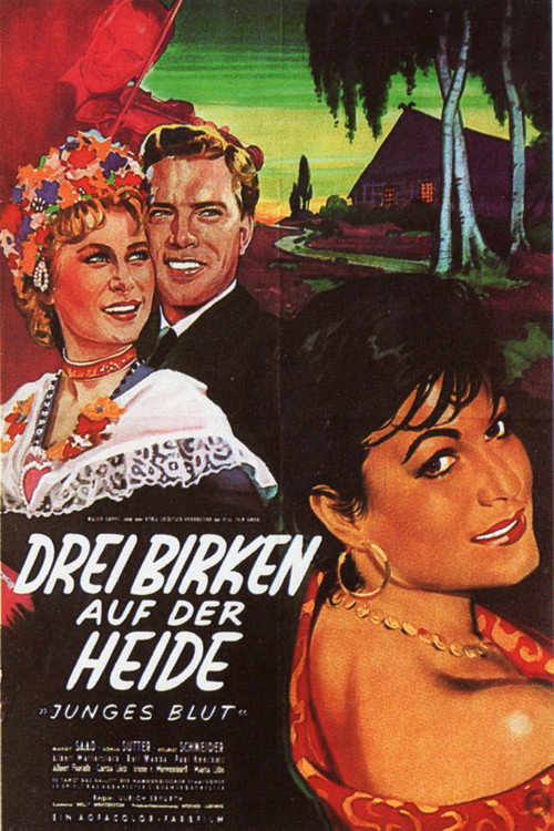 Three Birch Trees on the Heath poster