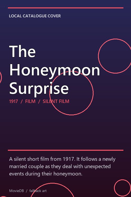 The Honeymoon Surprise poster