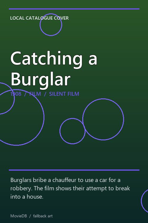 Catching a Burglar poster
