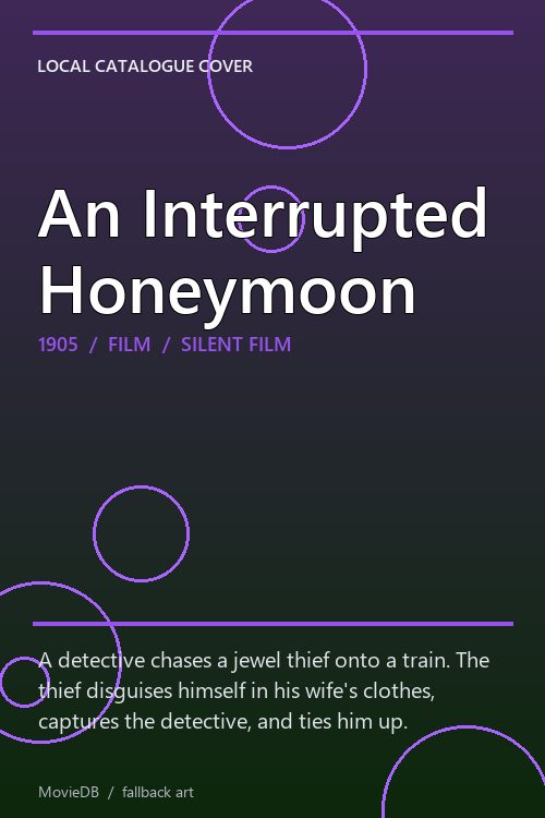 An Interrupted Honeymoon poster