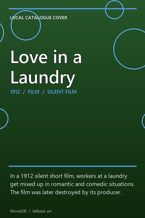 Love in a Laundry poster