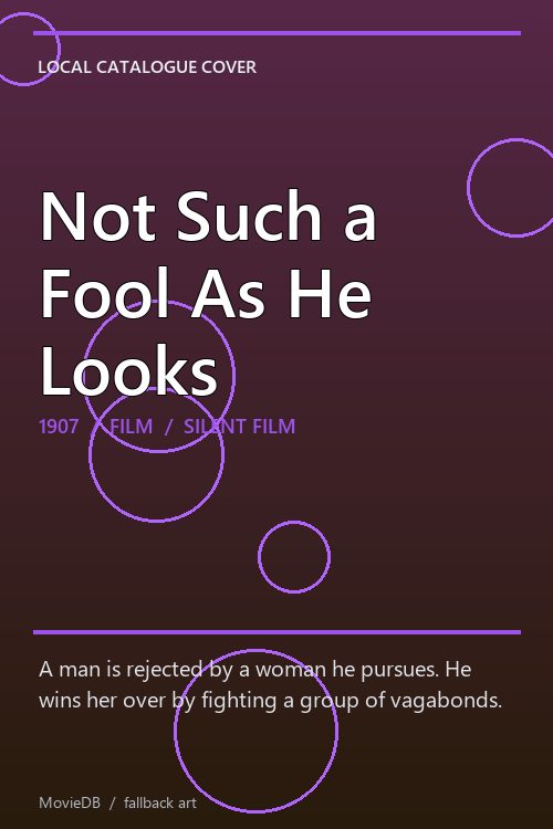 Not Such a Fool As He Looks poster
